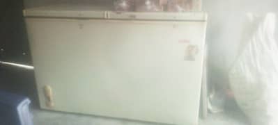 candy freezer for sale