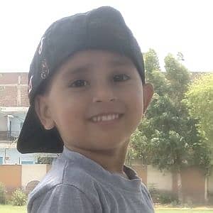 M Tariq