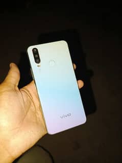 vivo