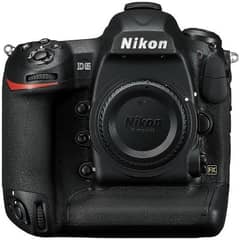 Nikon D5 10/10