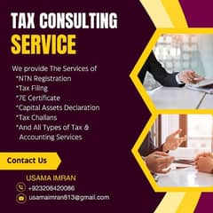 Tax consultant/Tax filing 2024