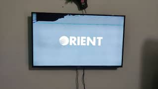 Orient 50 Inches Premium