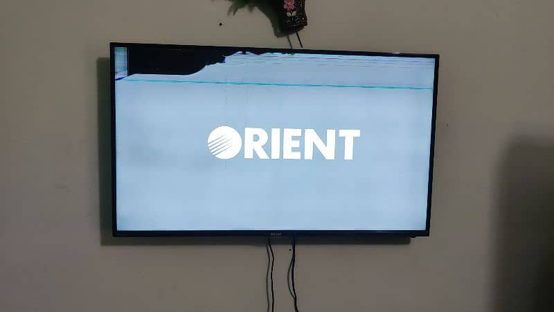 Orient 50 Inches Premium 0