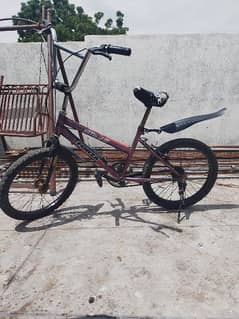 bicycle for 10 to 20