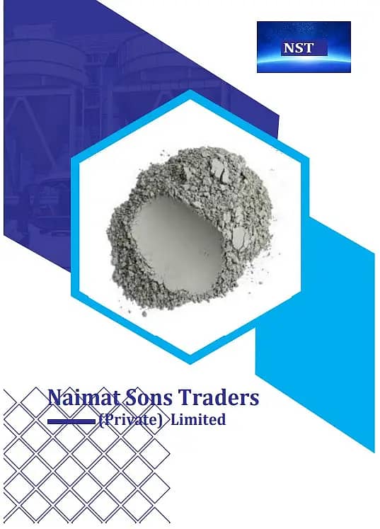 FLY ASH / ECO FLY ASH 03018080219 6