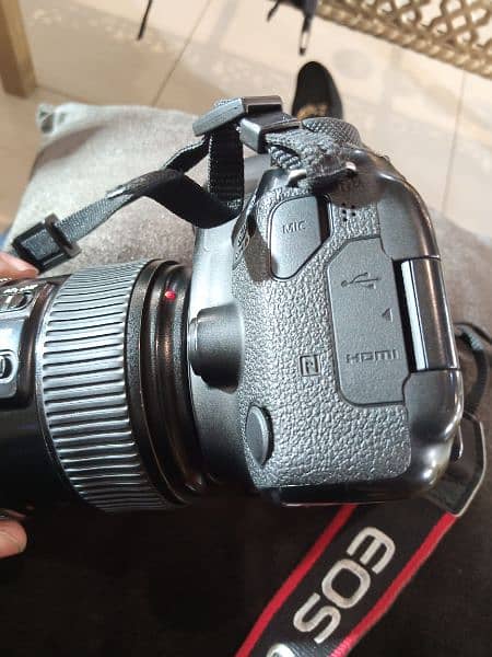 Canon 6D Mark ii with 24-105mm IS1 4L 3