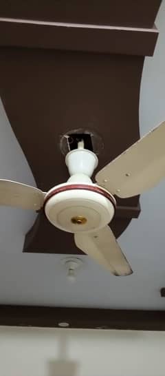 Ceiling fan in excellent condition