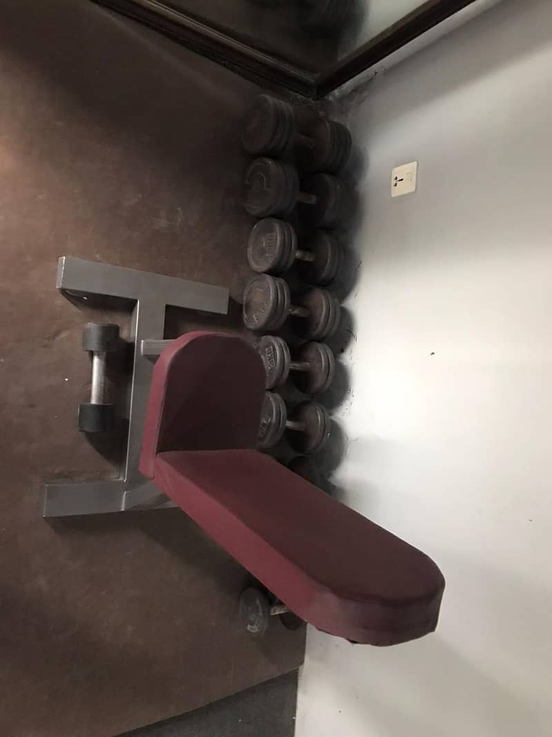 Gym machines,dumbbells, treadmill,exercise machines 1