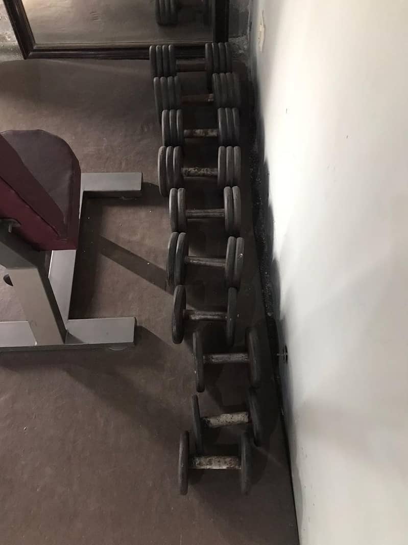 Gym machines,dumbbells, treadmill,exercise machines 2