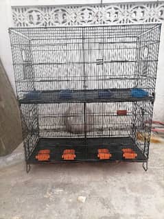 cage sale 03028391865