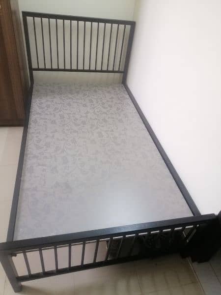 Single Bed  78X42" 1