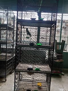 cages for birds.