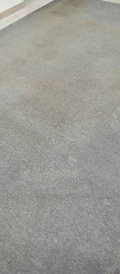 Pakistani Room Used Carpet Gray (10x12ft) For Sale