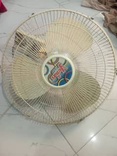 You as fan in excellent condition