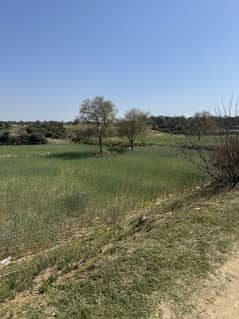 300 Kanal Agricultural Land Chakwal