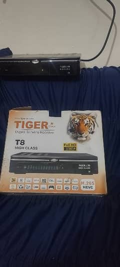 TIGER