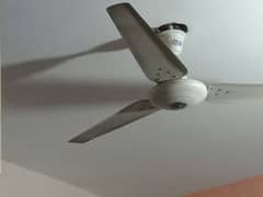 Company Wahid Ceiling fan