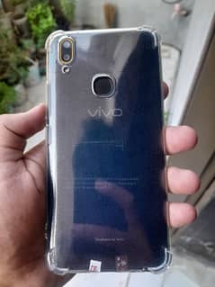 vivo