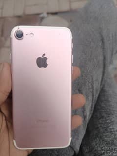 iphone 7 rose gold color 256gb pta approved 0