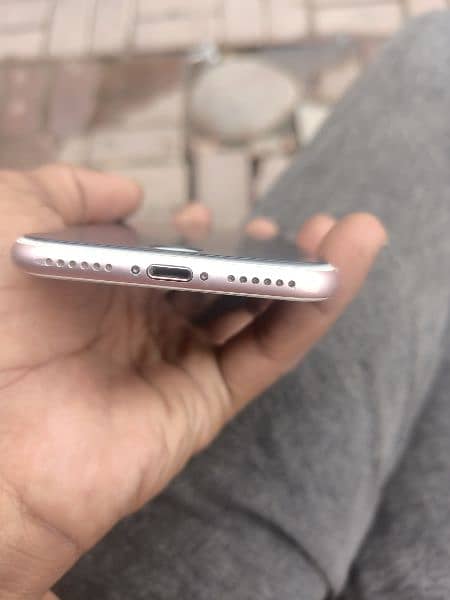 iphone 7 rose gold color 256gb pta approved 3