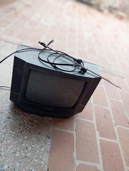 television 1