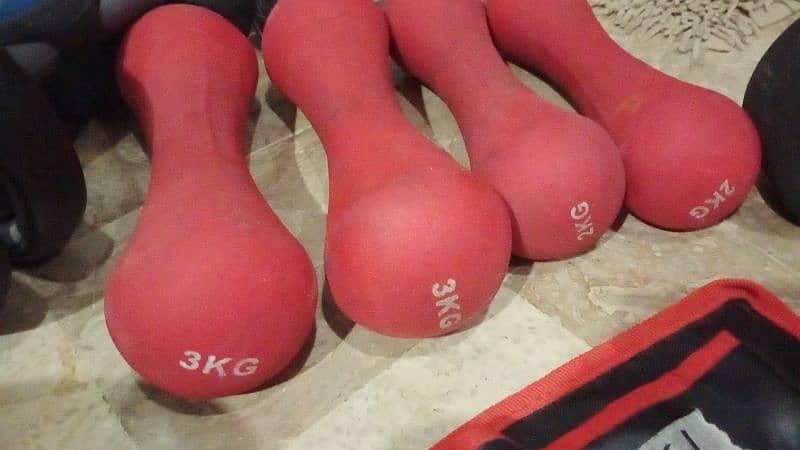 dumbells and plates rubber coated 10