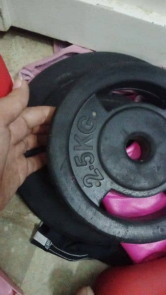 dumbells and plates rubber coated 12