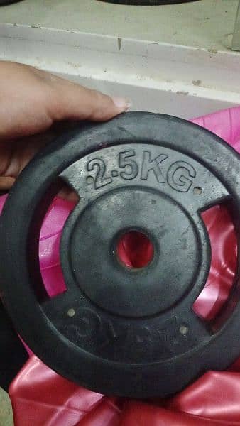 dumbells and plates rubber coated 4