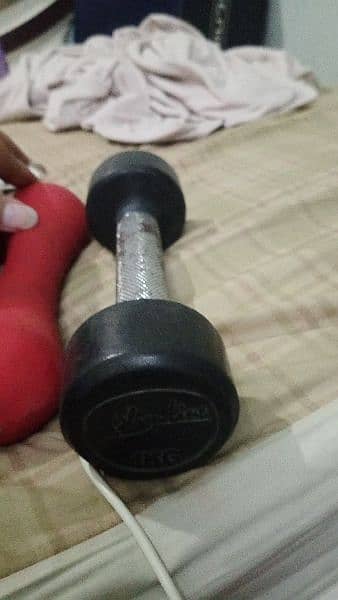 dumbells and plates rubber coated 2