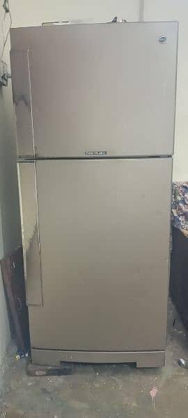 fridge 1