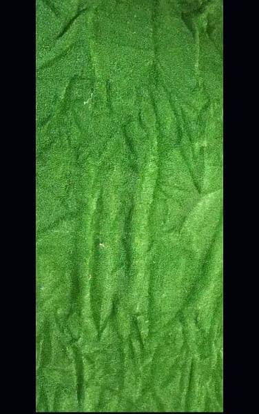 Carpet (Artificial grass) 0