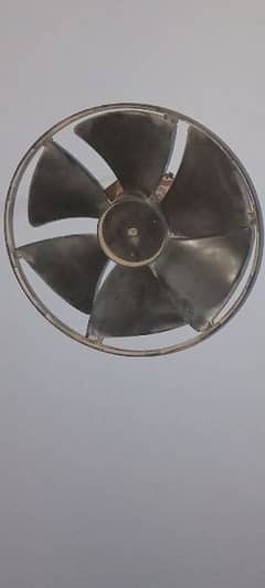 Fan