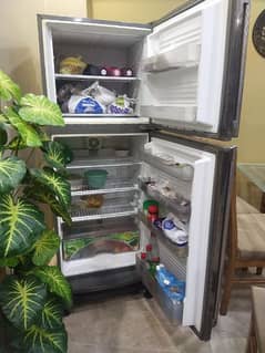 dawlence refrigerator/ fridge