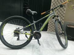 Silverback orignal bike