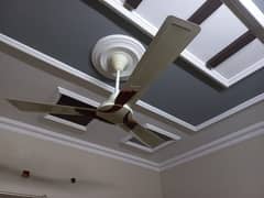 2 brown and 5 white ceiling fans