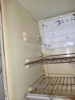 Refrigerator 100% OK Cooling New se b zbrdst