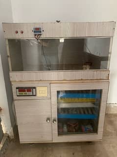 200 Eggs Incubator + Brooder