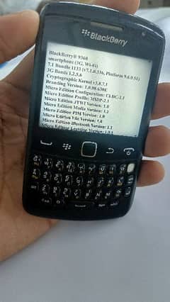 blackberry