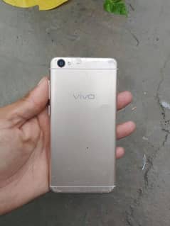 vivo