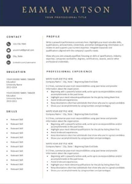 I m professional CV maker/ elegant design. 2