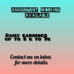 Online Assignment work/Data entry/ Part time