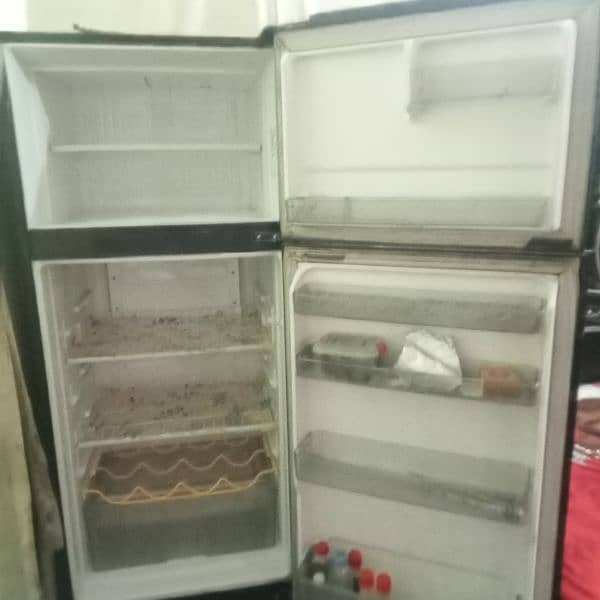 singer fridge good condition but compressor ka kam  hona Wala  11/11 4