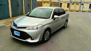 Toyota Corolla Axio 2015 1.5 X