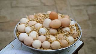 Desi eggs