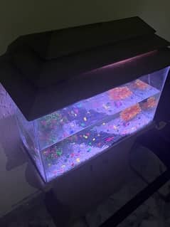 Aquarium setup urgent sale with all accessories