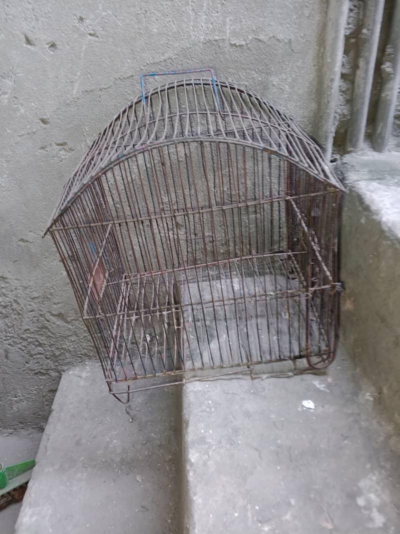 iron birds cage for sale call 03064300325 0