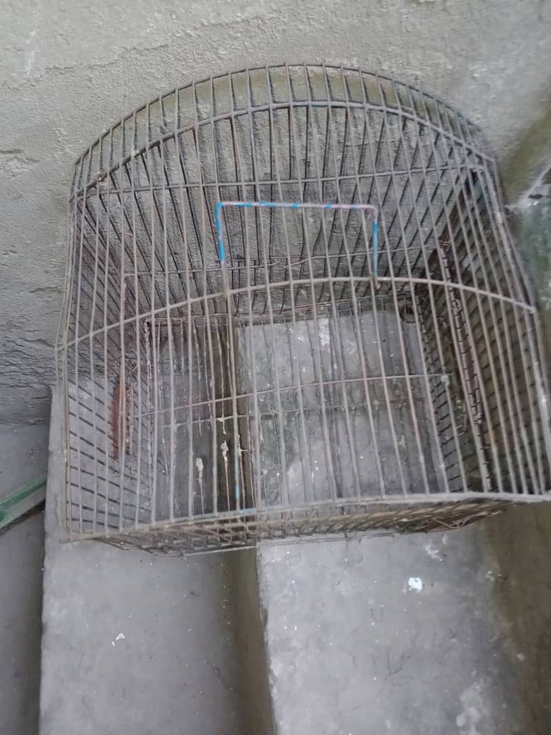 iron birds cage for sale call 03064300325 2