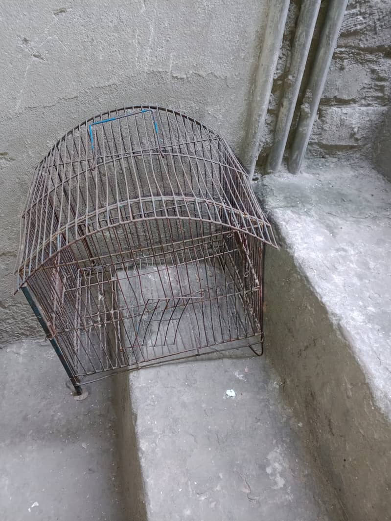 iron birds cage for sale call 03064300325 3