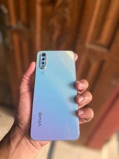 vivo