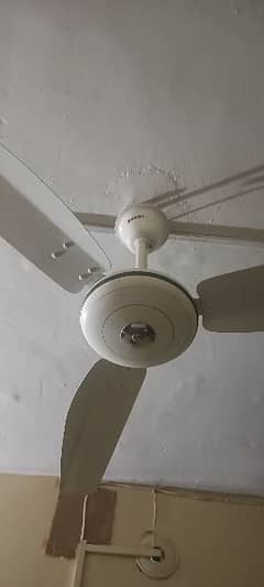 Royal Ceiling Fan